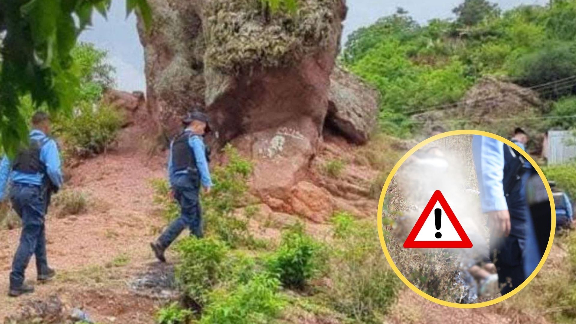 Imagen de Revelan la advertencia que recibió uno de los tres jóvenes asesinados en Mateo