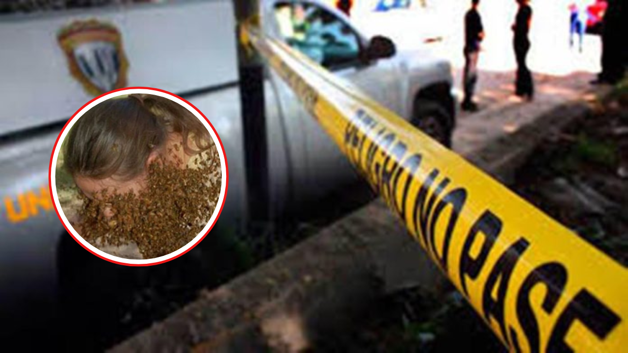 Muere mujer tras ser atacada por enjambre de abejas