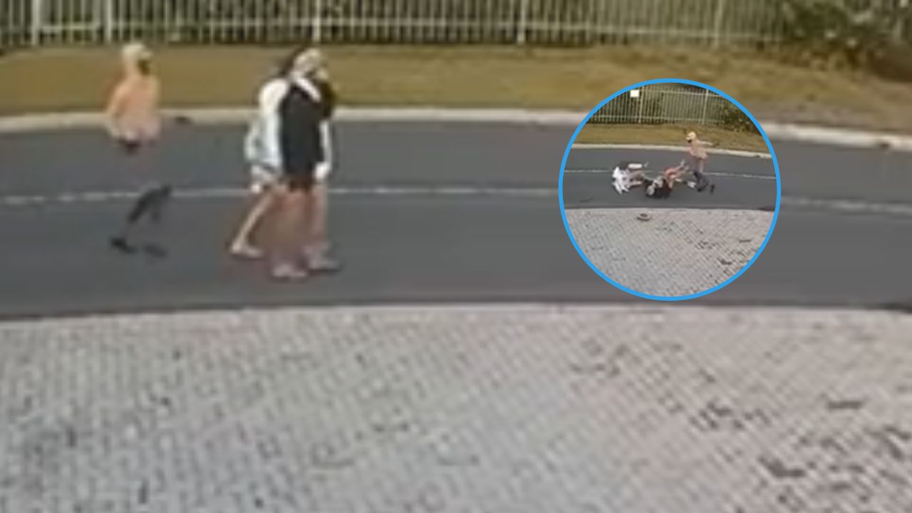 VIDEO: hombre ataca a machetazos a pareja de ancianos para asaltarlos