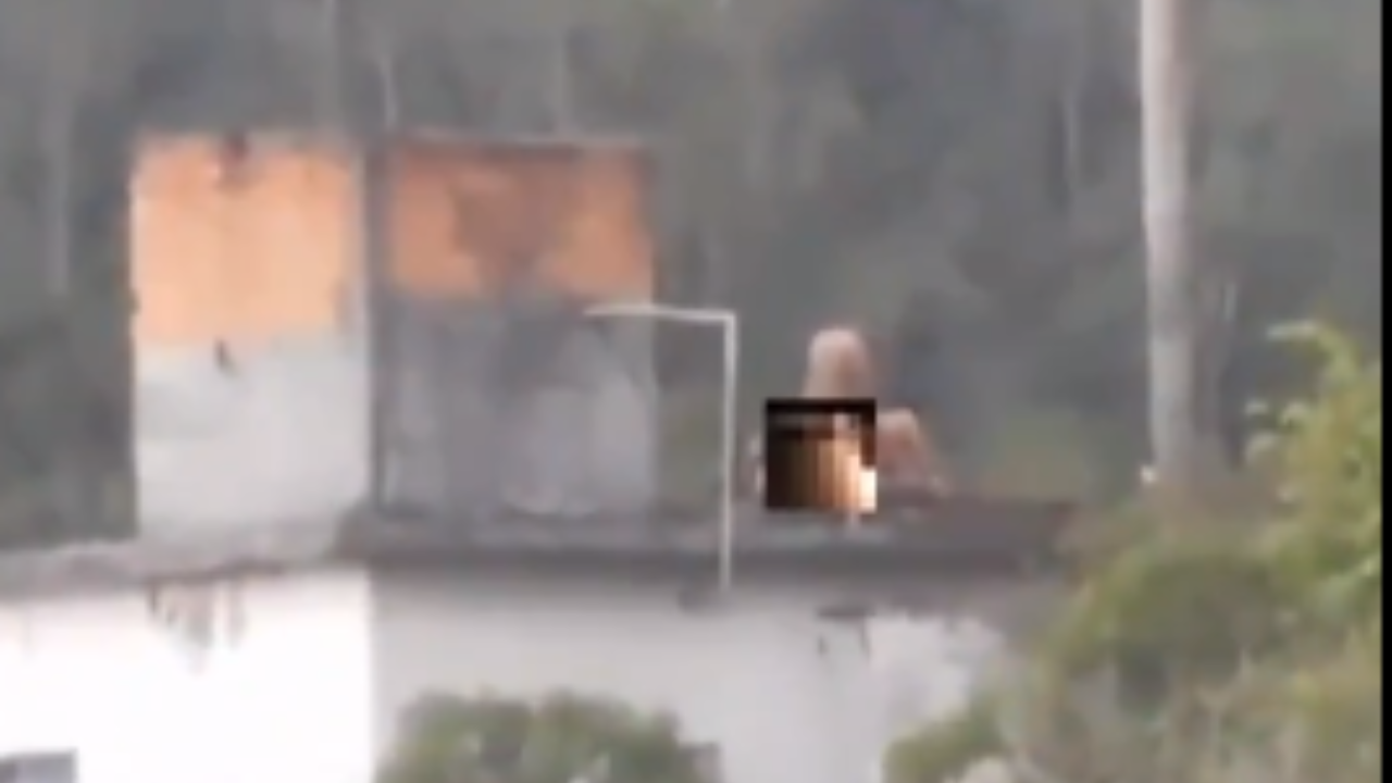 Video: pareja es captada teniendo relaciones en un techo durante un tiroteo