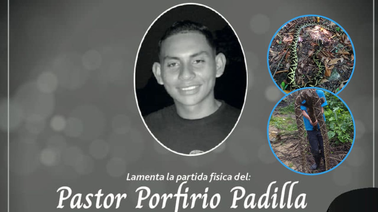 'Coronó su carrera': así era Porfirio Padilla, pastor que murió tras ser mordido por serpiente barba amarilla