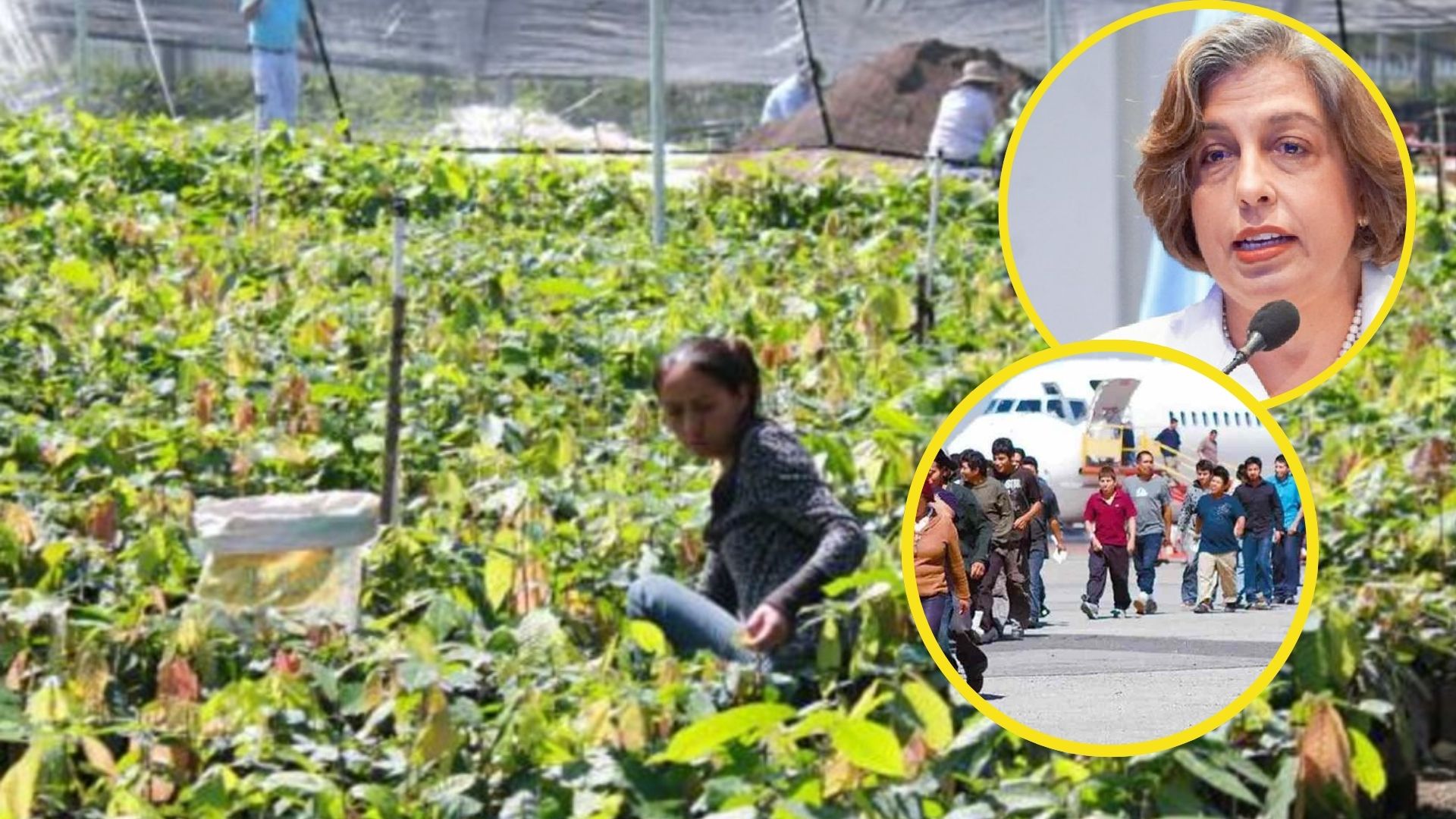 Cohep propone al Gobierno generar empleo para deportados en sectores clave con alta demanda de mano de obra