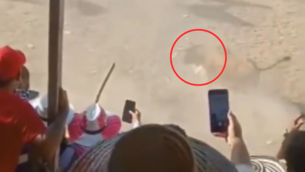 Vídeo: Así fue el momento en que toro corneó a un hombre en pleno rodeo