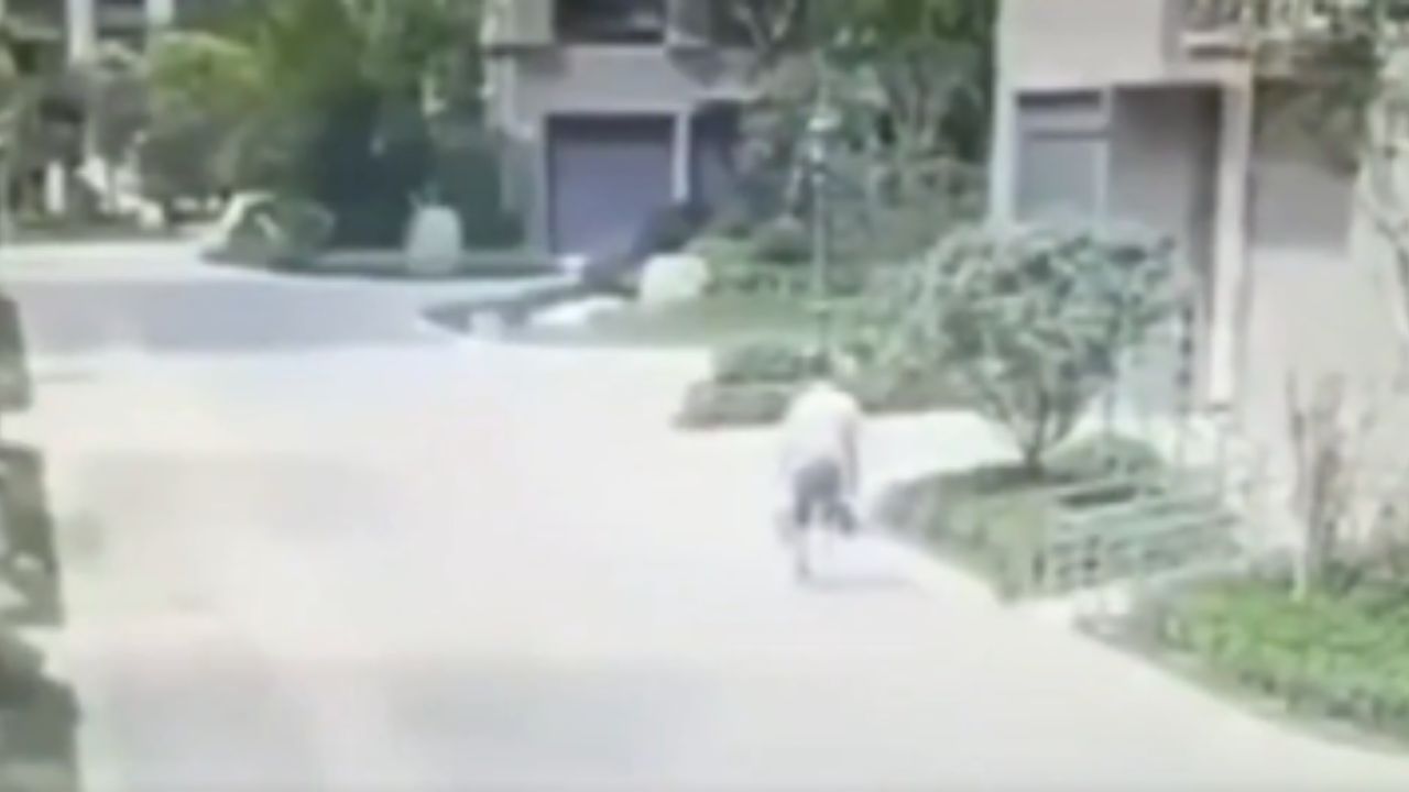 Una ventana cae sobre un hombre que caminaba por la calle, ¿murió o sobrevivió?