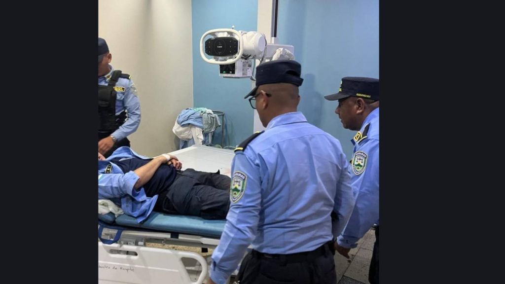 Imagen de cuerpo de nota