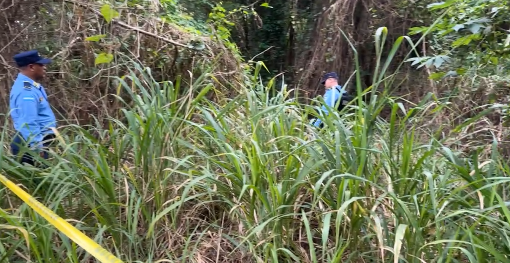 Lugar donde fue encontrado