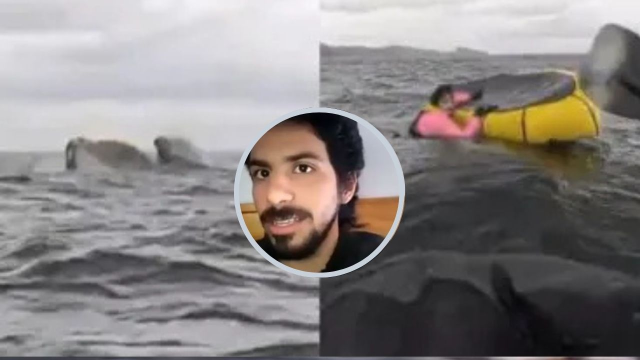 'Pensé que había muerto';  joven es tragado y expulsado por ballena