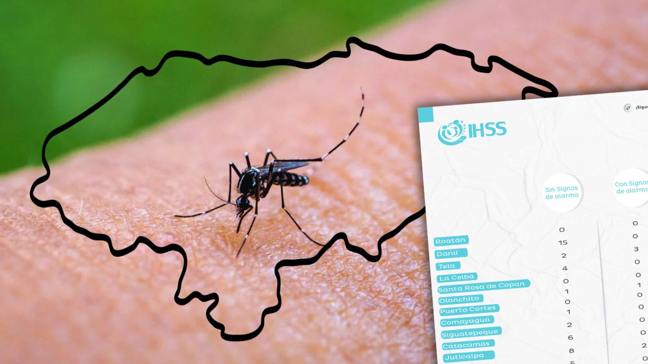 ¿Cuántos casos de dengue ha registrado el IHSS en 2025?