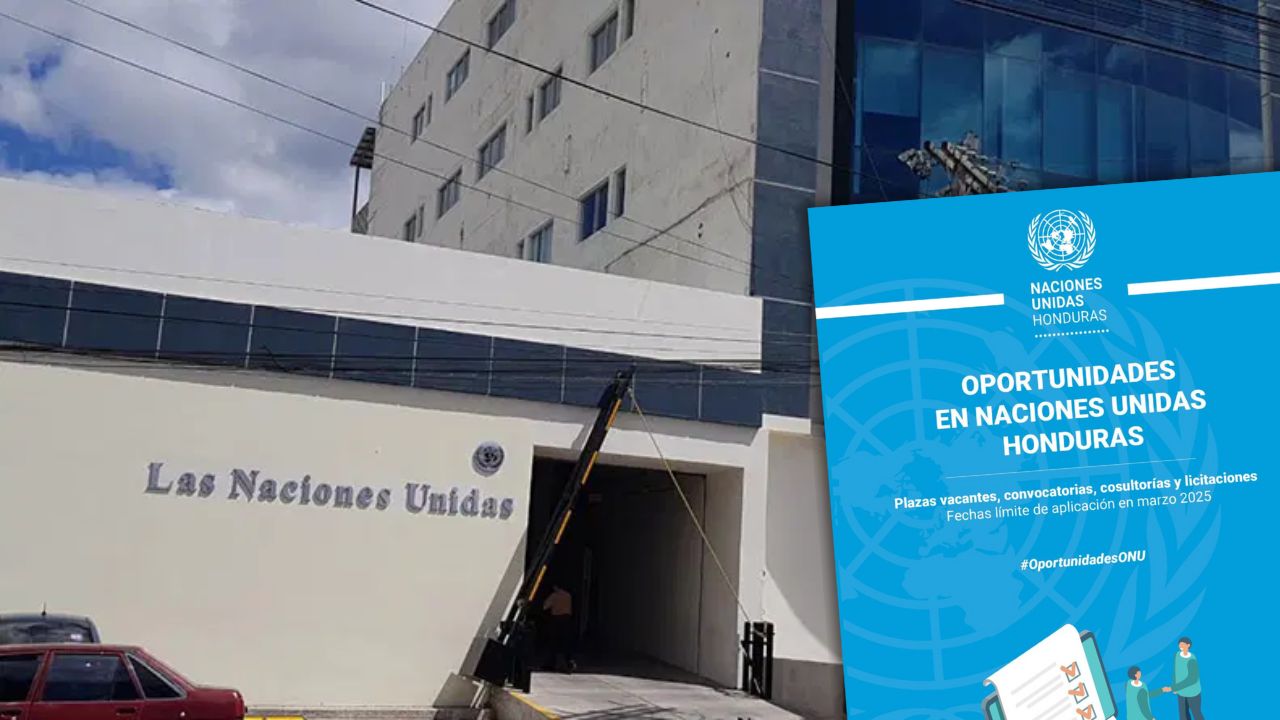 Estas son las vacantes de empleo disponibles en la ONU en Honduras