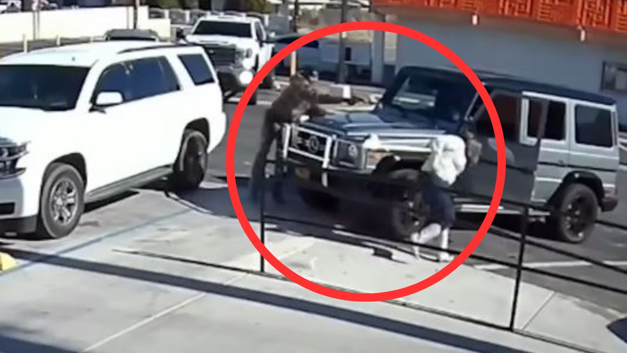 Video revela cómo empresaria fue asesinada al salir de restaurante ¿Quién lo planificó?