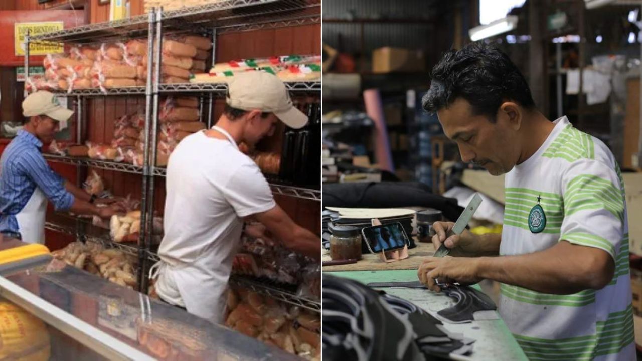¿Cuántas nuevas empresas se registraron en Tegucigalpa y San Pedro Sula en 2024?