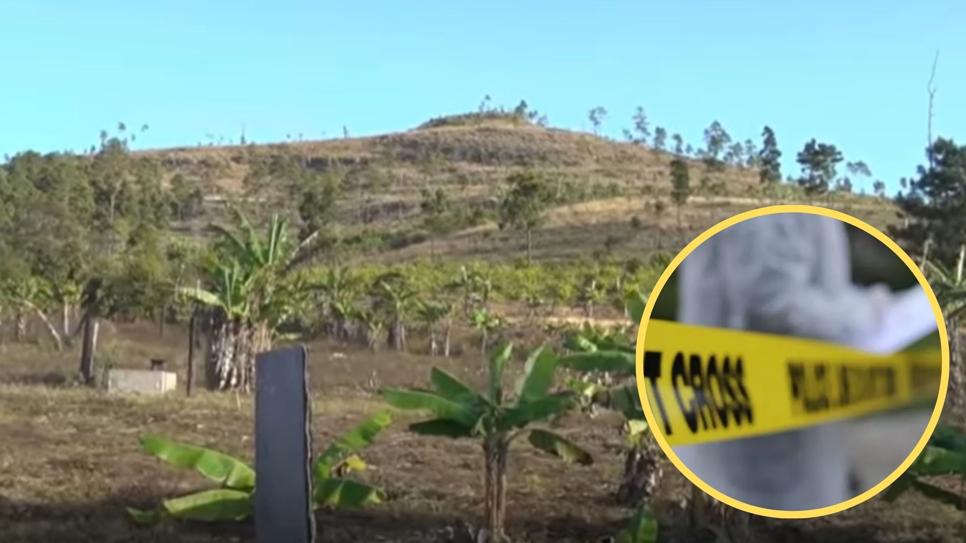 Hallan decapitado a ambientalista hondureño y a hijo tras denunciar tala