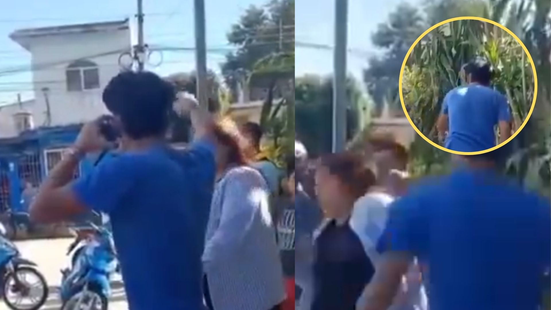 'Nunca diste nada por mí': hijo golpea a su mamá porque lo regañó por chocar el carro