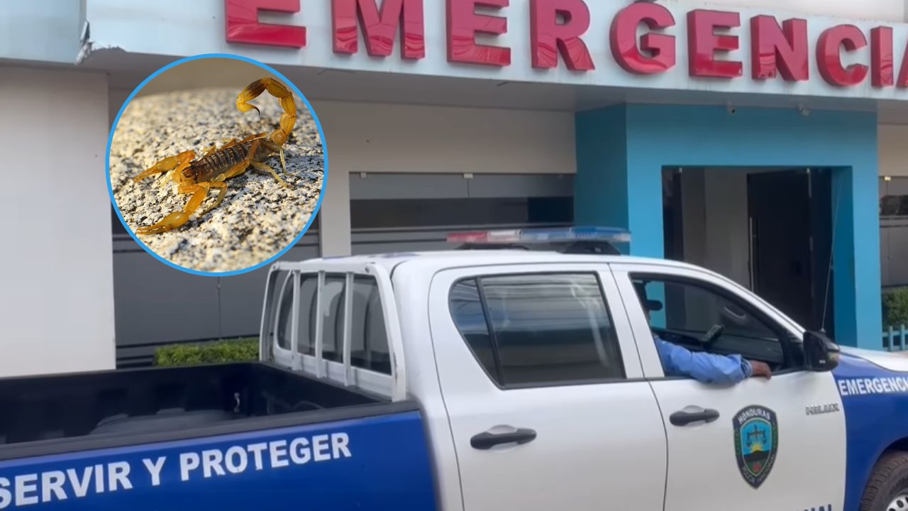 'Por andar trabajando': hondureño muere tras ser picado por un alacrán