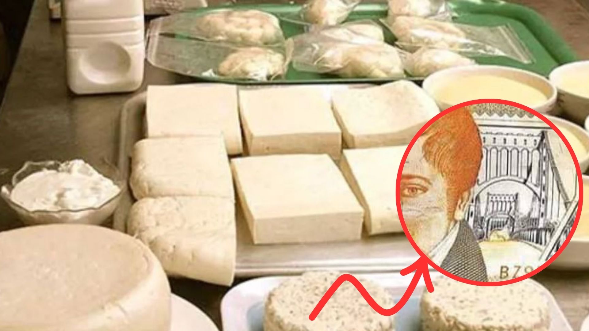 Suben entre L5 y L10 lempiras los lácteos en algunos mercados del país