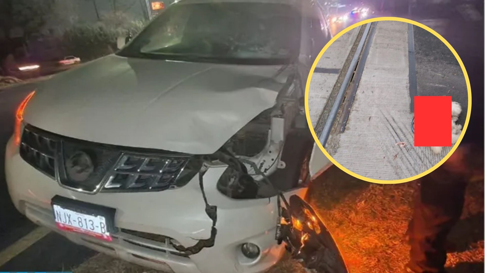 Mujer muere atropellada con su perrito tras salir corriendo por discutir con su pareja
