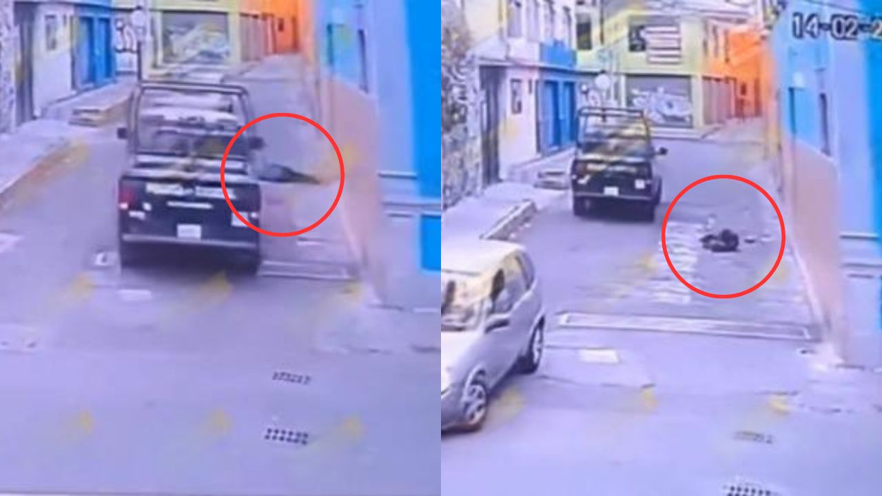 Vídeo: Patrulla policial atropella a una persona y huye del lugar
