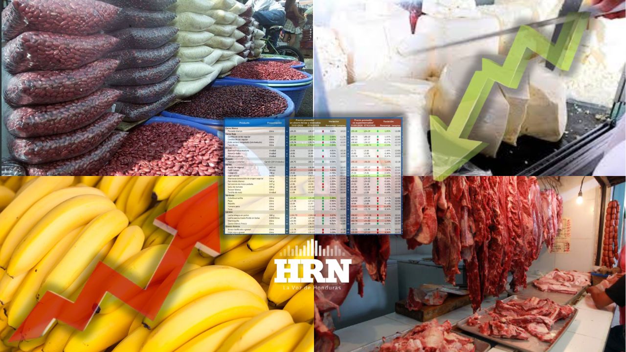 Obsan-UNAH revela variaciones en precios de la canasta básica alimentaria en Honduras
