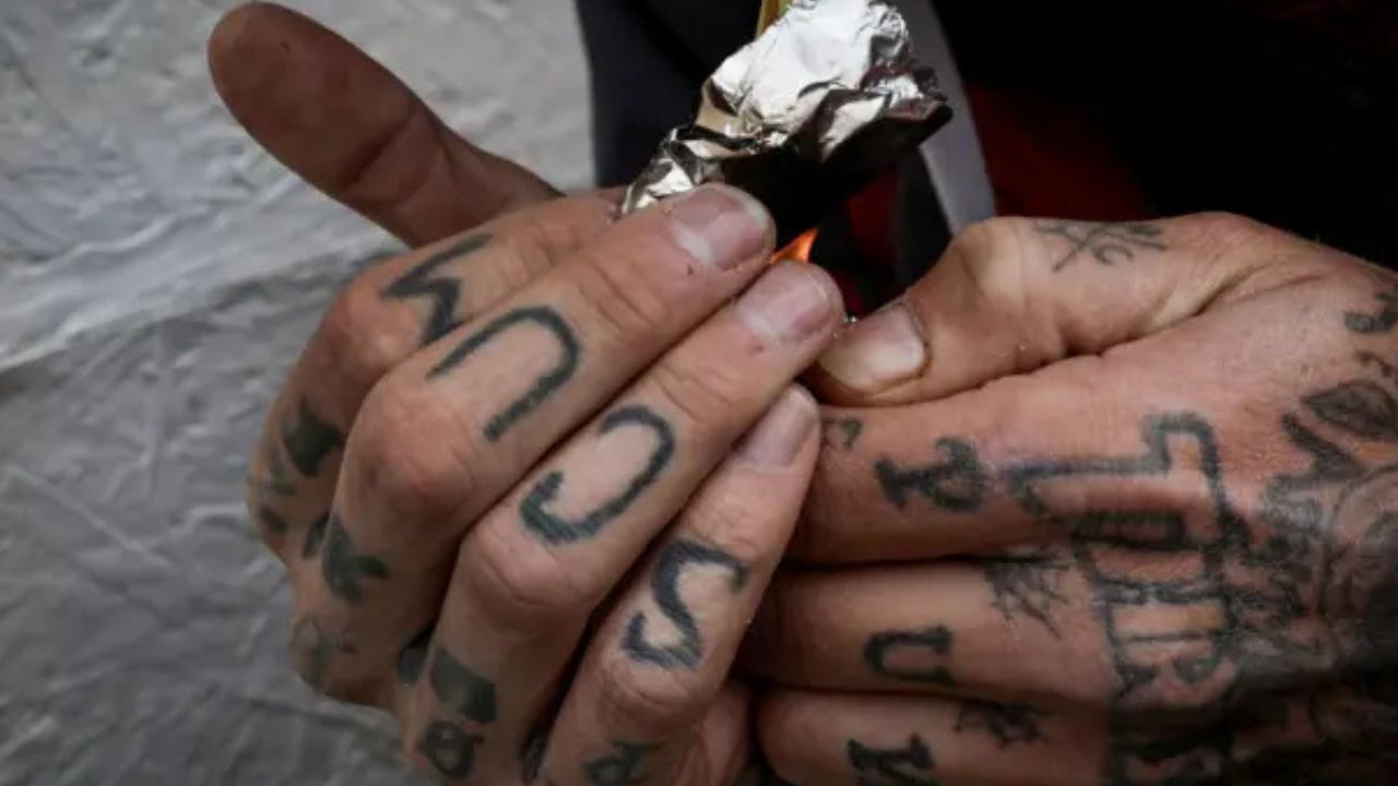 Tren de Aragua, MS-13 y seis cárteles mexicanos, designados como terroristas por EE. UU.