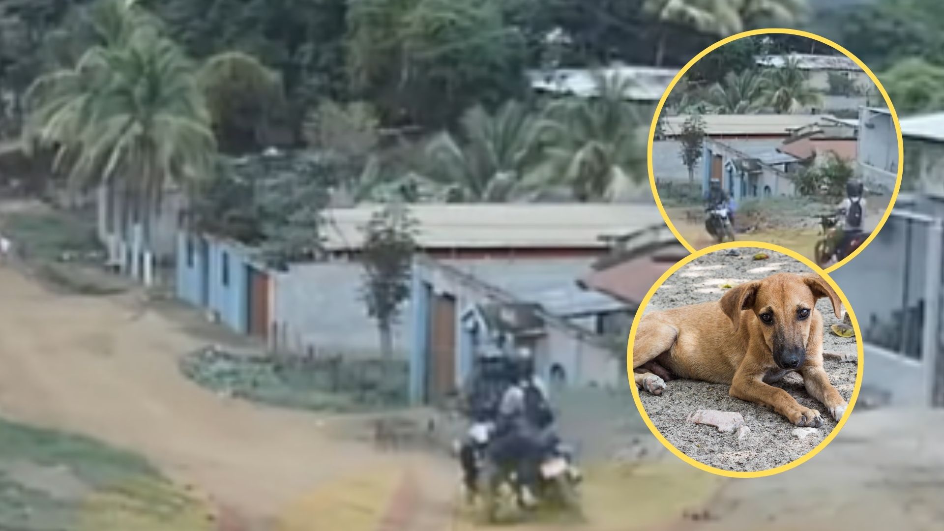VIDEO: Por esquivar a un perro, motociclistas chocan en Olancho