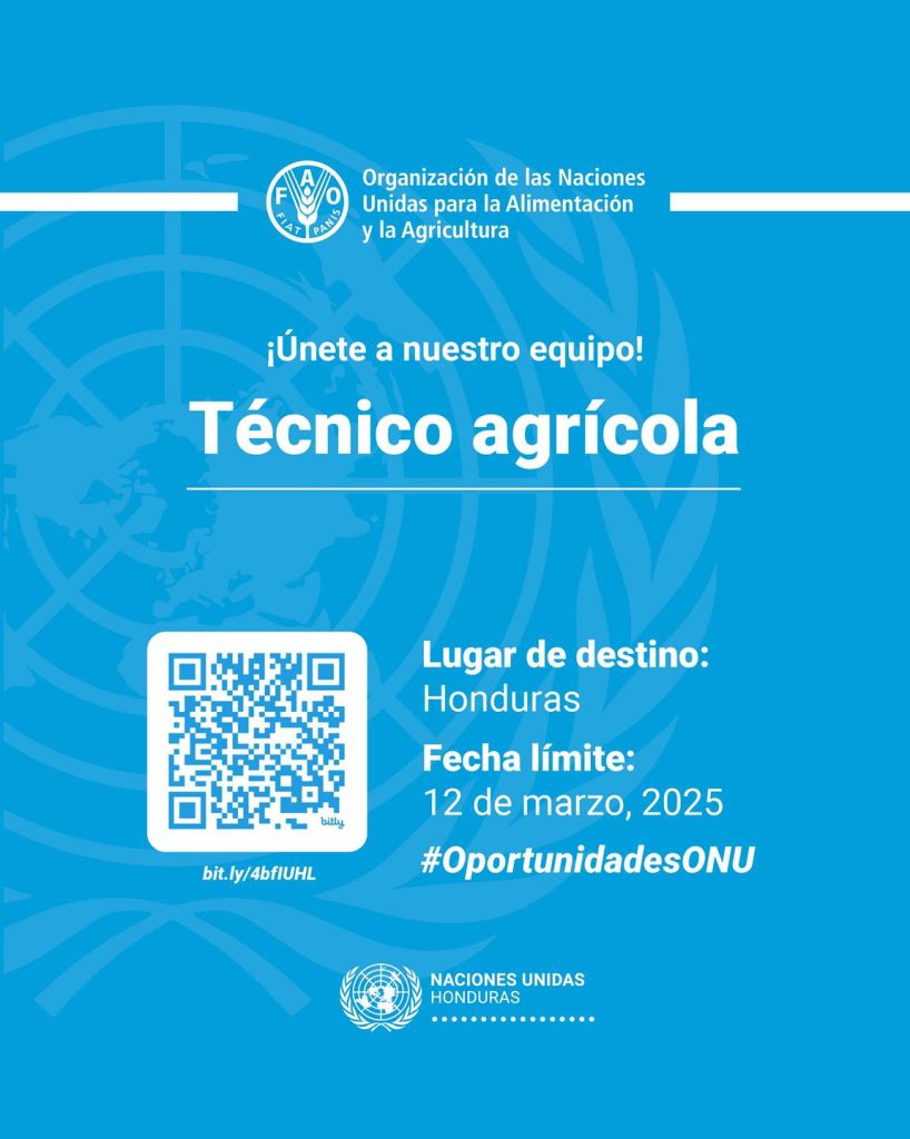 Fotografía de la ONU sobre el trabajo