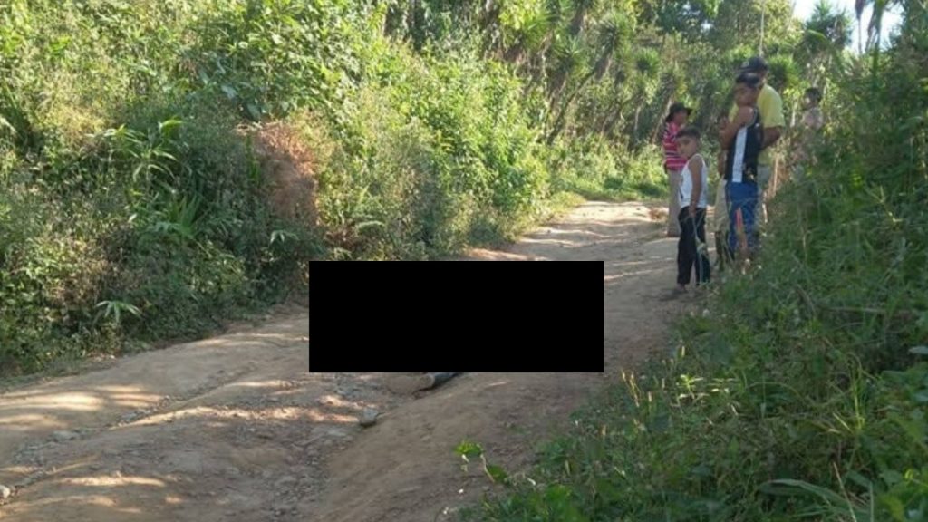 Imagen de cuerpo de nota