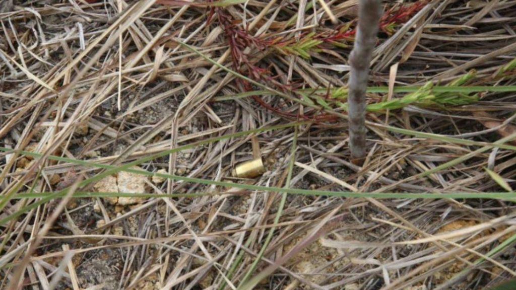 Imagen de cuerpo de nota