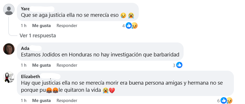 Captura de pantalla de los comentarios