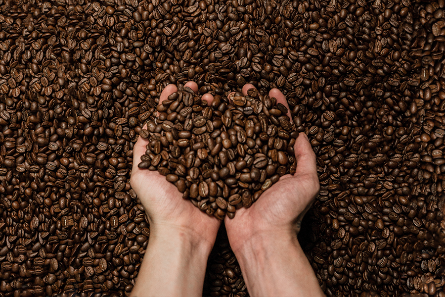 Las manos de una persona con granos de café