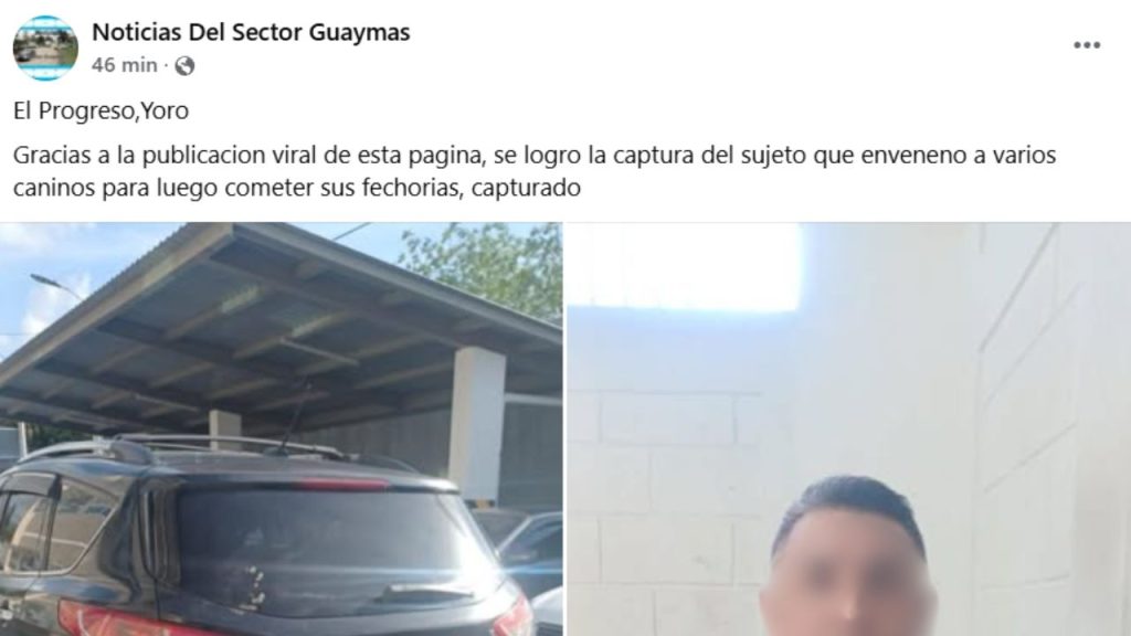 Captura de pantalla de la publicación