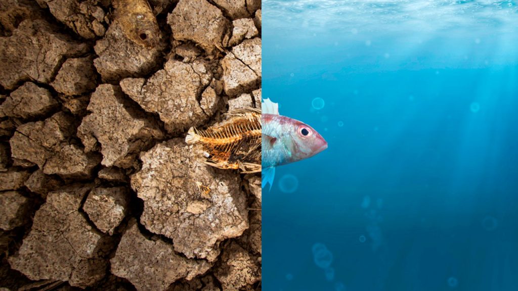 Imagen alusiva a los fenómenos