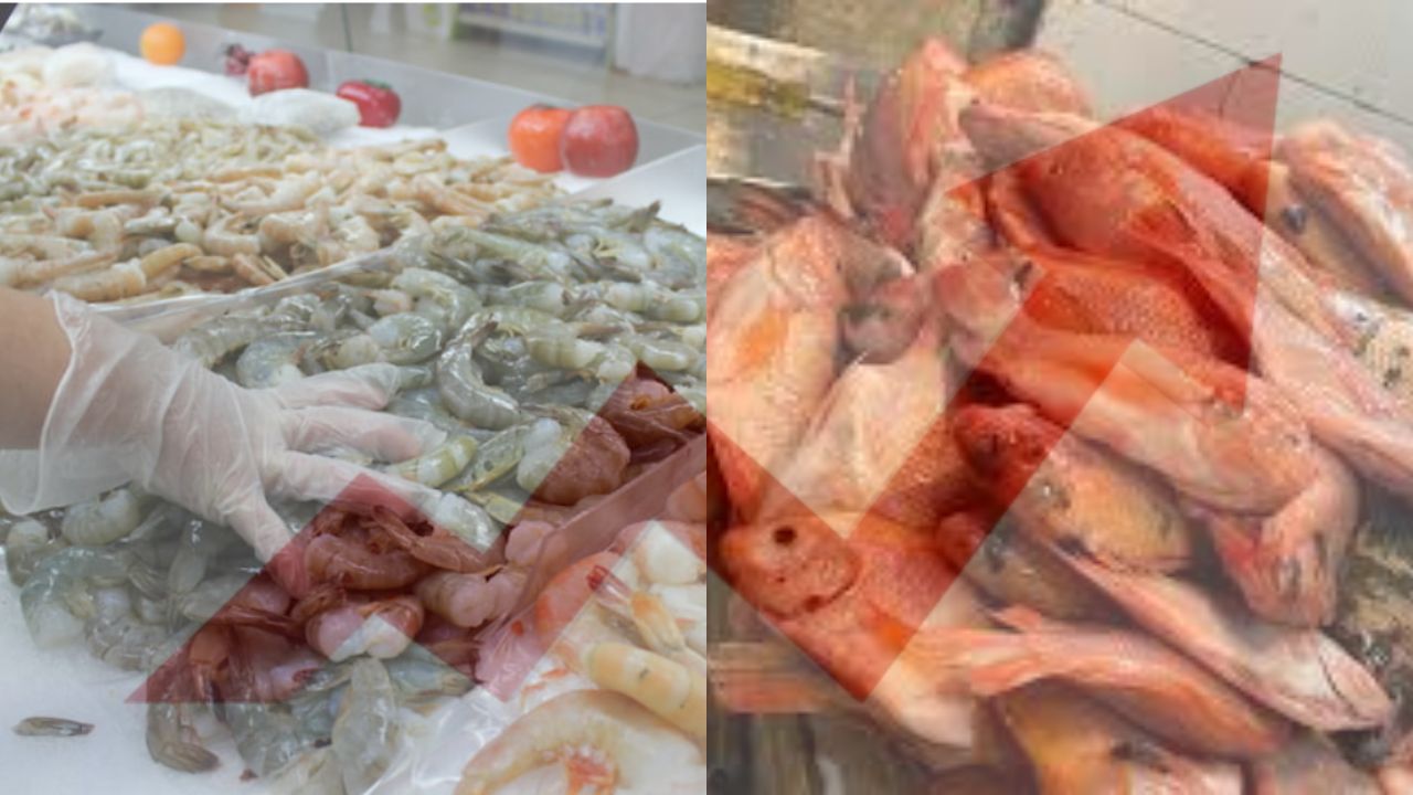 De entre 5 y 30 lempiras es el aumento de precio del pescado y de mariscos en DC y SPS
