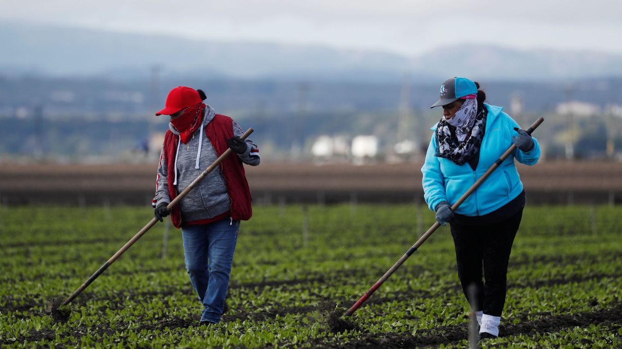 Pánico en California: la época de cultivo casi inicia con trabajadores bajo amenazas