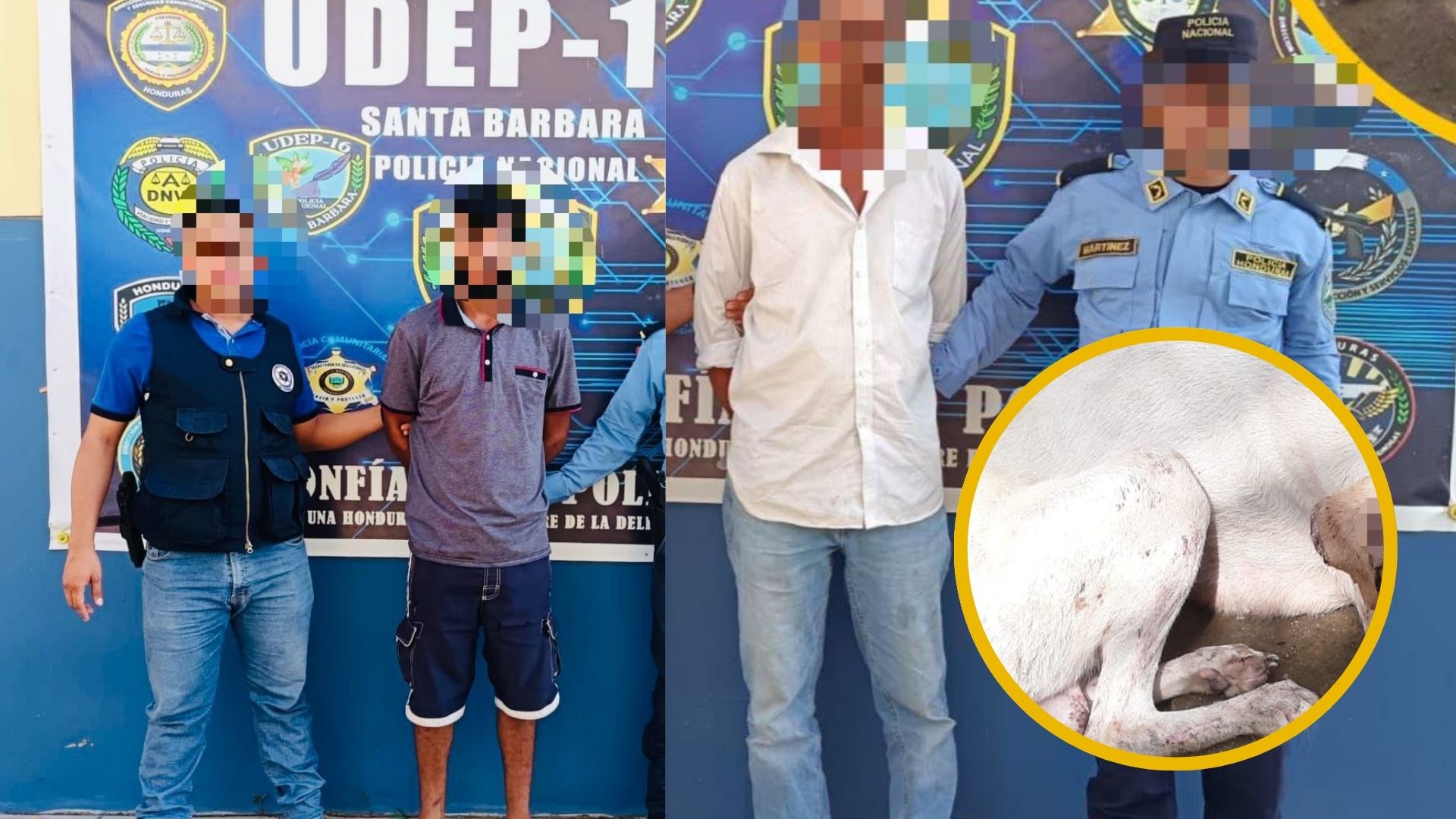 Capturan a dos hombres que atacaron a un perro en Santa Bárbara