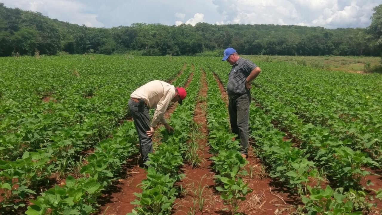 Honduras necesita una política crediticia diferenciada para el agro: exministro