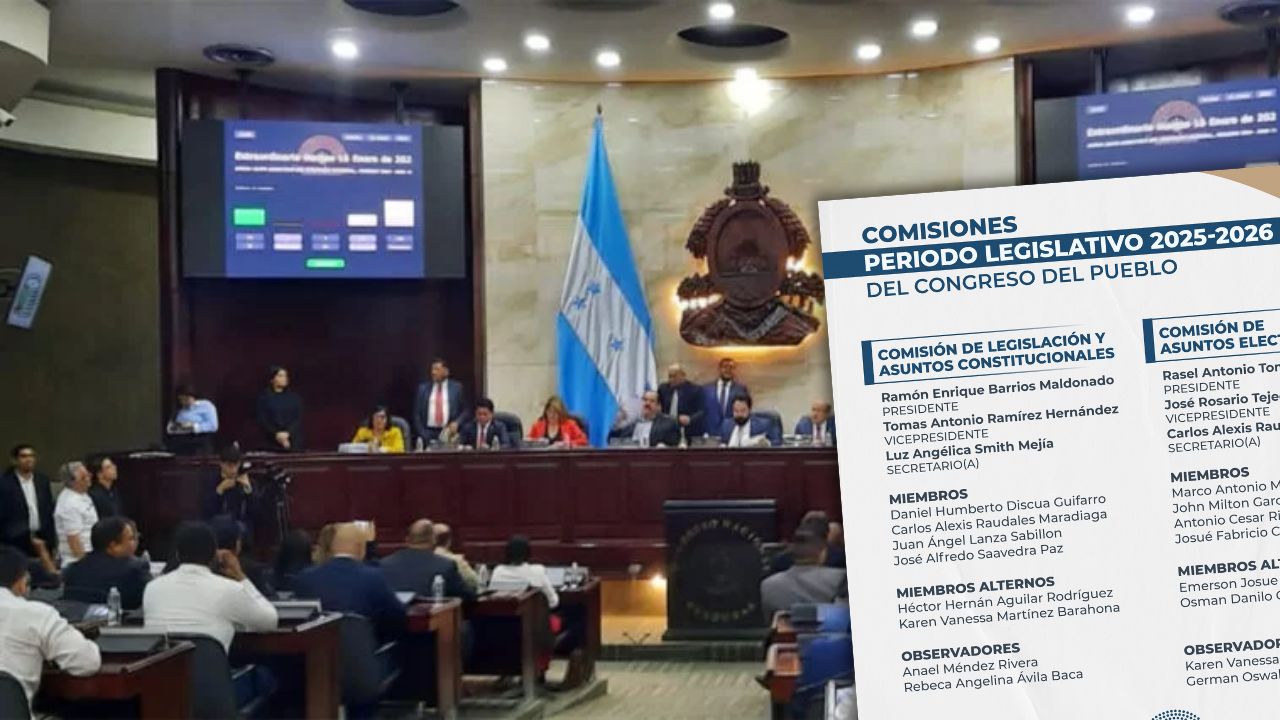 ¿Cuáles son las comisiones del Congreso Nacional en 2025?