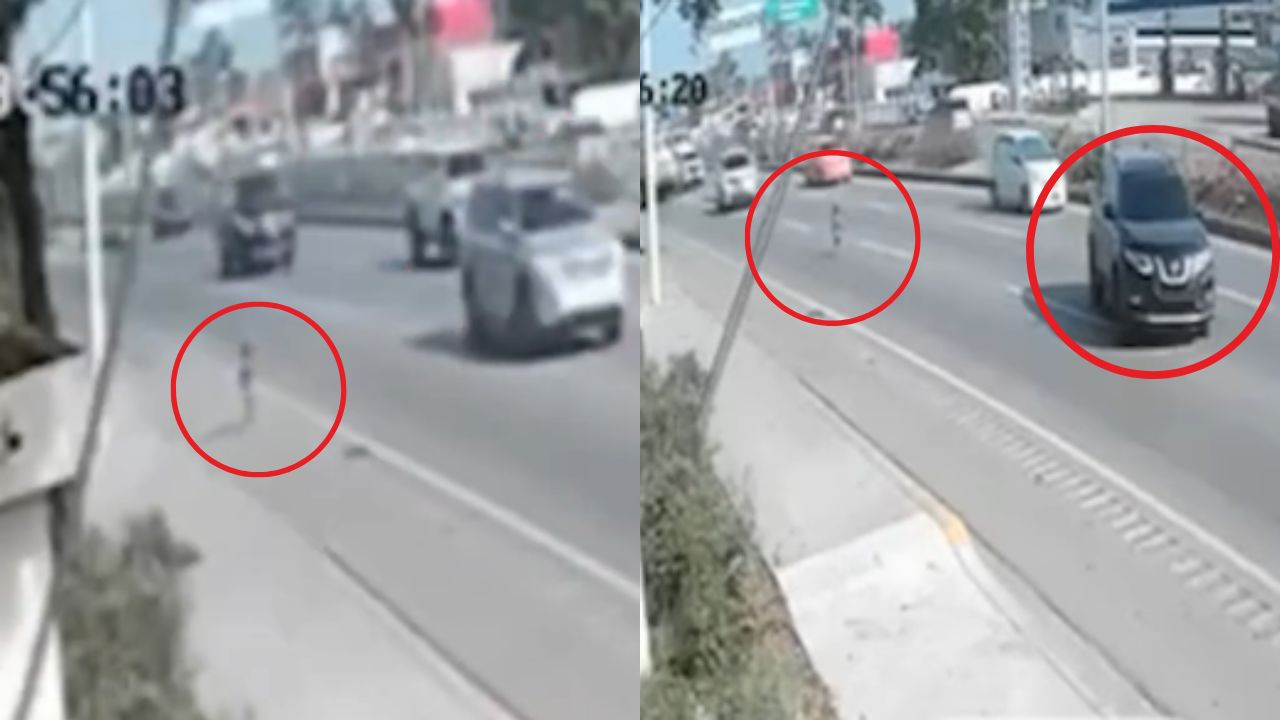 Vídeo: Conductor evita que niño sea atropellado al cruzar carretera