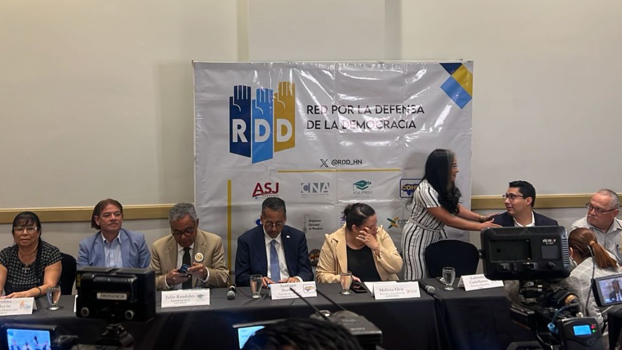 RDD pide que se garantice declaratoria de las elecciones primarias