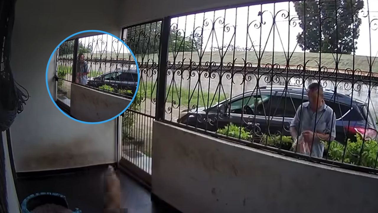 Video muestra a hondureños envenenando perros para entrar a robar en viviendas