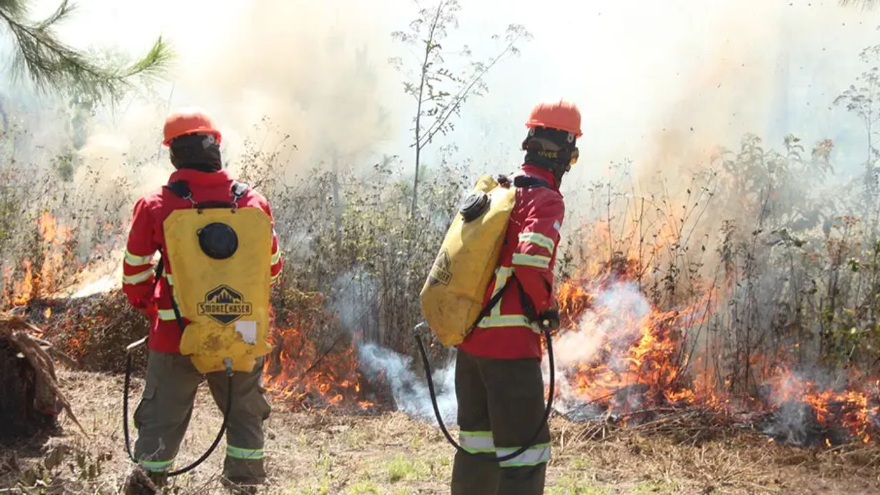 Imagen de Honduras ha registrado al menos 50 incendios forestales en 2025