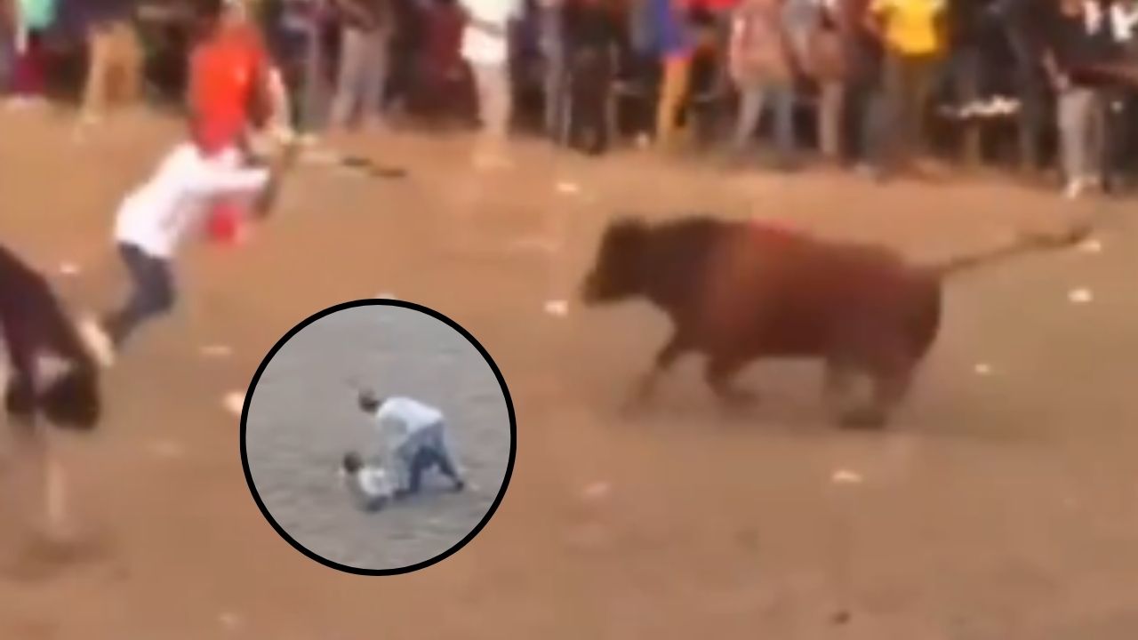 Graban momento en que toro mató a un hombre durante una corrida