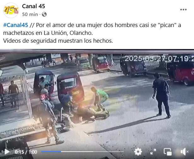 Captura de pantalla de la publicación