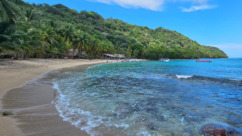 Imagen de cuerpo de nota