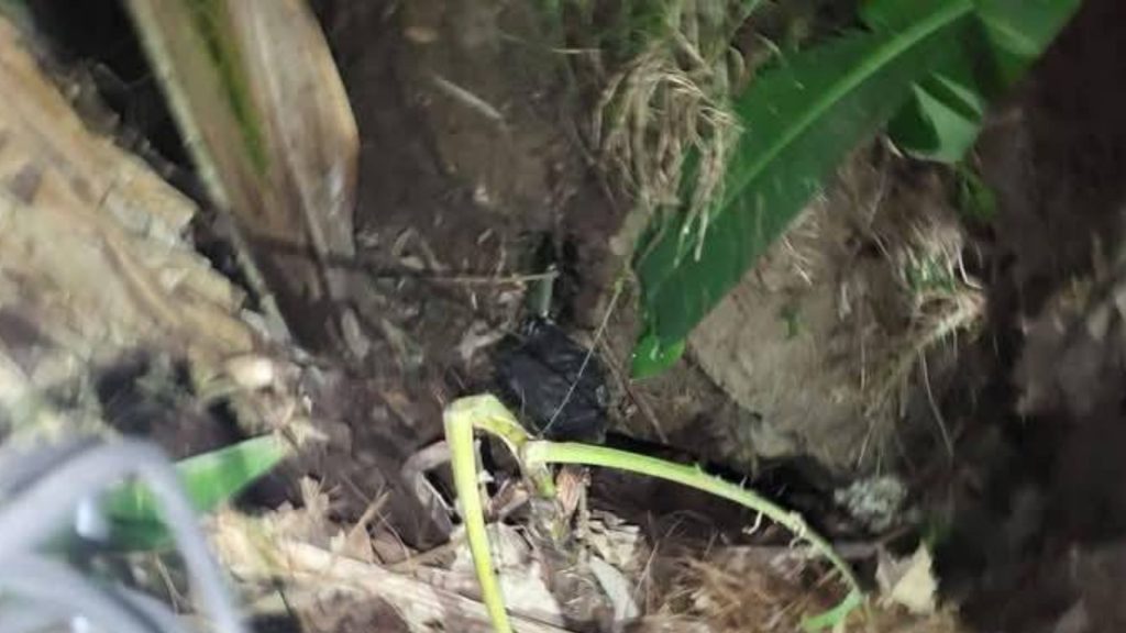 Lugar donde hallaron la bolsa con recién nacido muerto