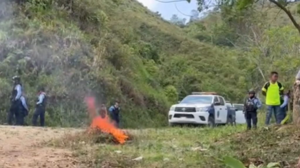 patrullas y policías.