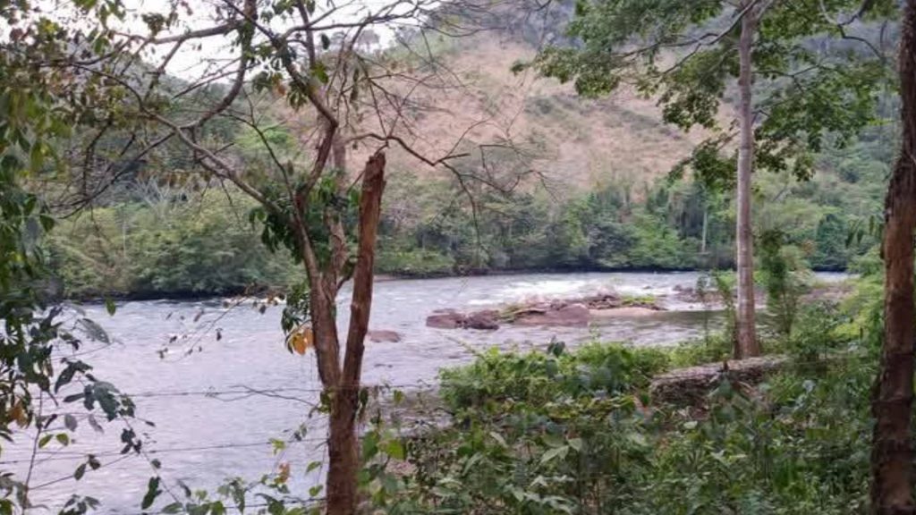 Imagen de cuerpo de nota