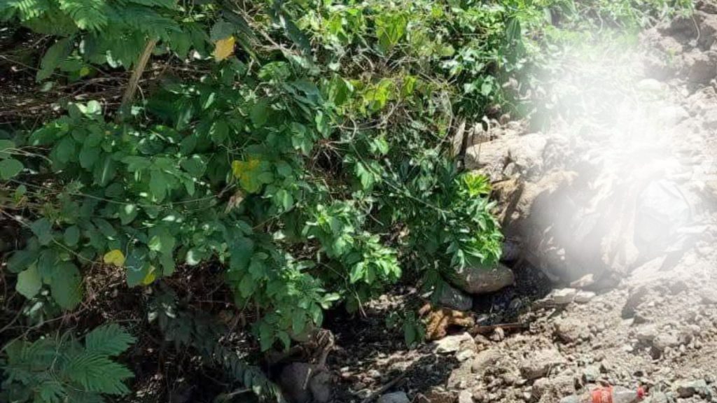 Imagen de cuerpo de nota