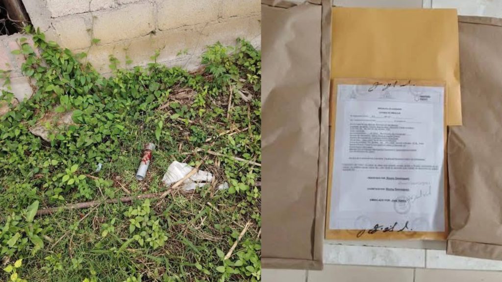 Imagen de cuerpo de nota