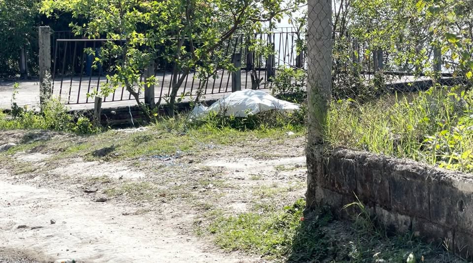 Imagen de cuerpo de nota