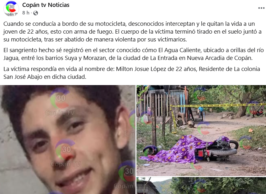 Captura de pantalla de la publicación